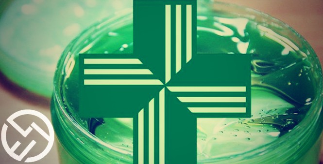 Aloe vera bebible farmacia