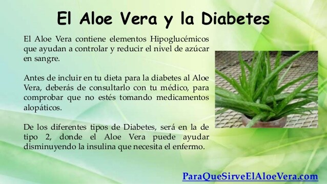 Aloe vera es bueno para la diabetes