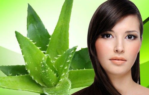 Remedio para la caspa con aloe vera