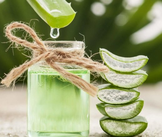 Es buena la aloe vera para el pelo