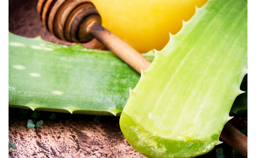 Aloe vera heridas profundas