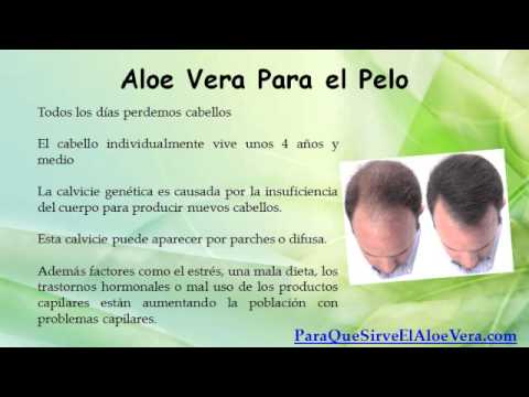 Beneficios del aloe vera para el cabello