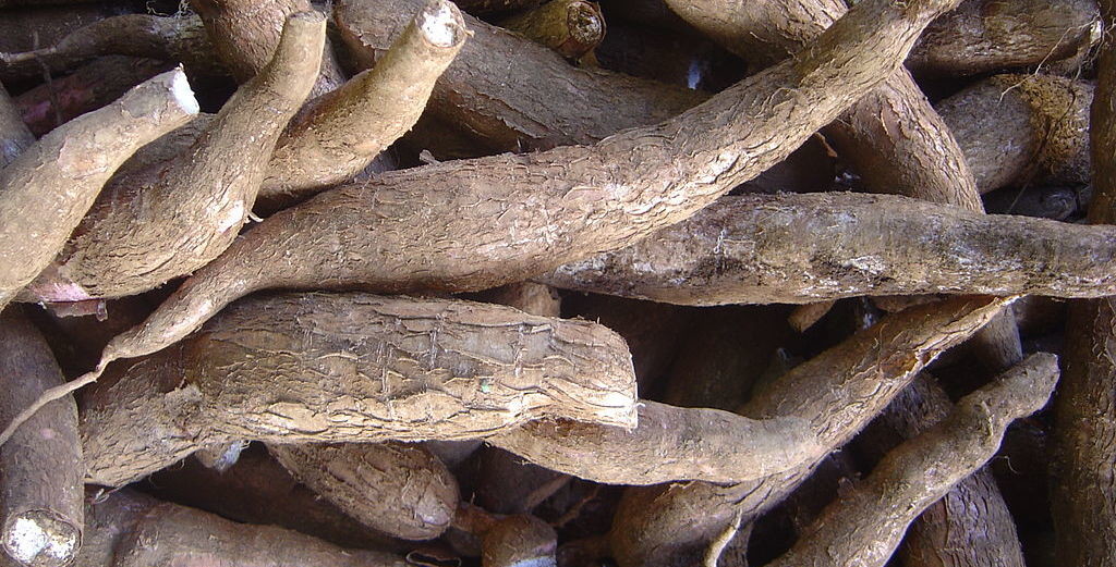 La yuca tiene gluten