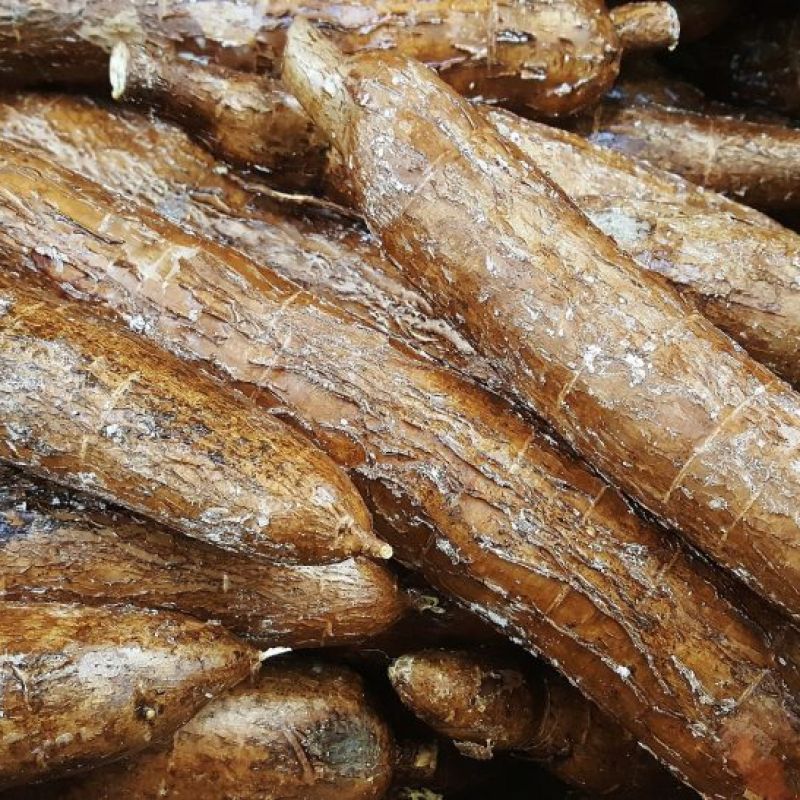 Para que sirve la yuca