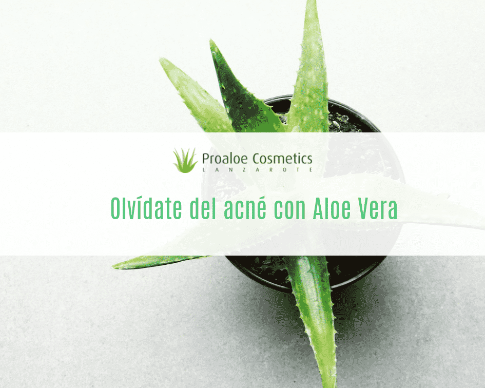 Aloe vera para las espinillas