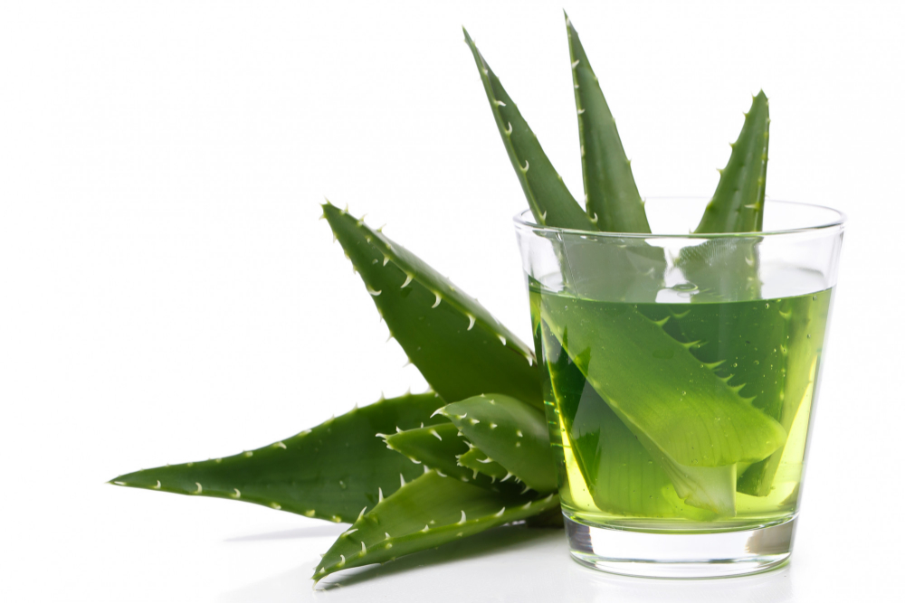 Aloe vera para plantas