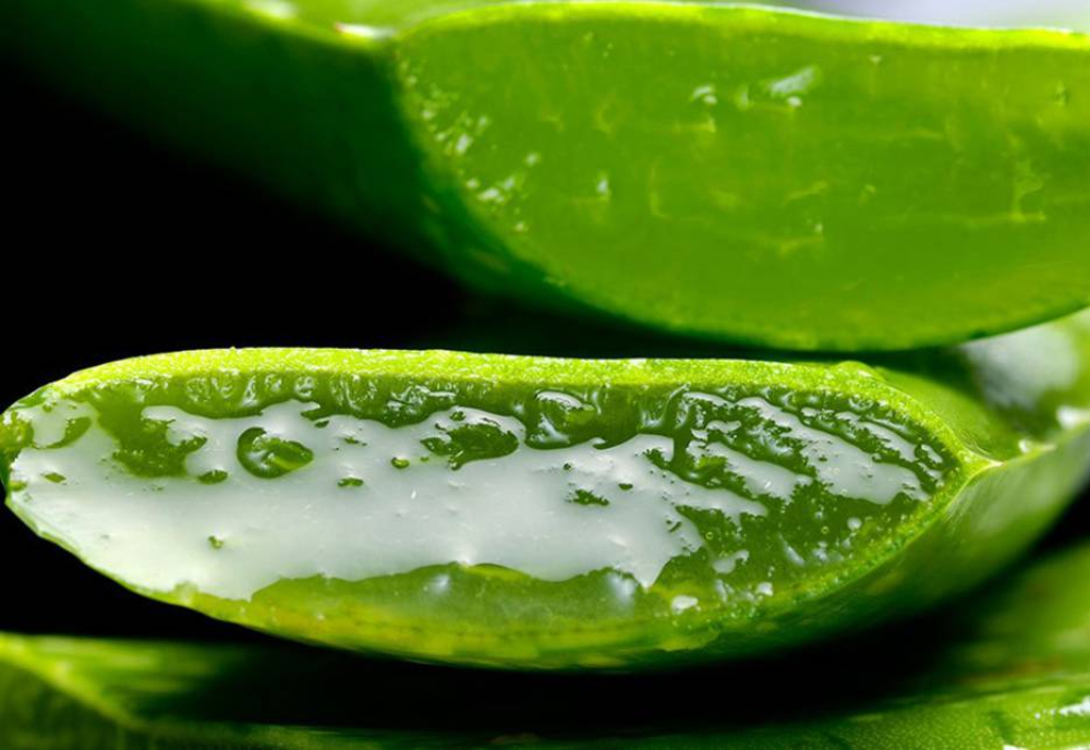 Remedios para el acne con aloe vera