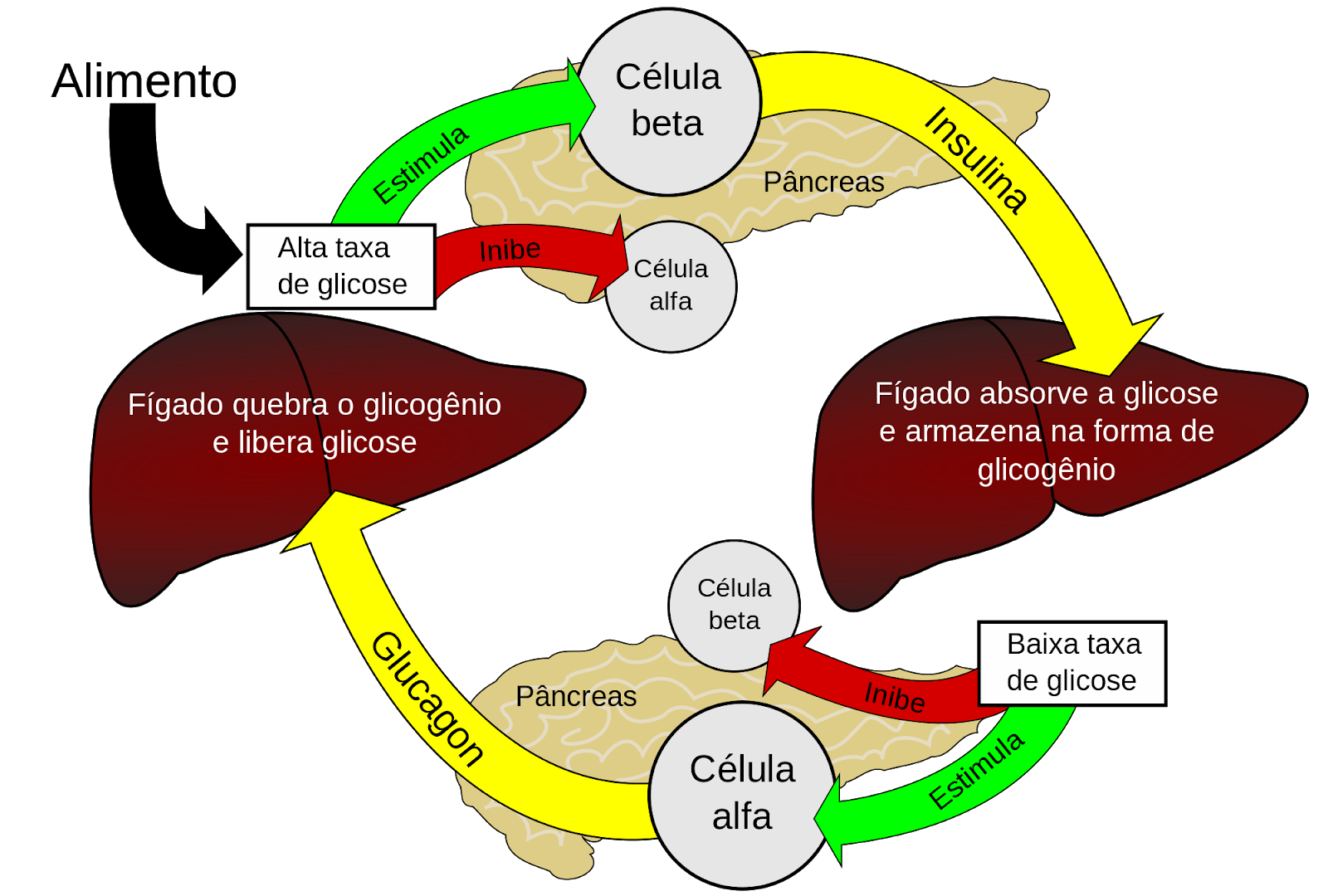 Aloe vera bebida herbalife