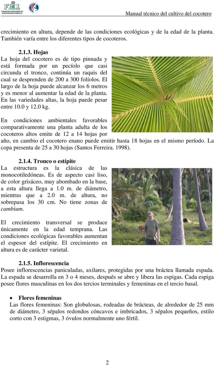 De donde es originario el cocotero