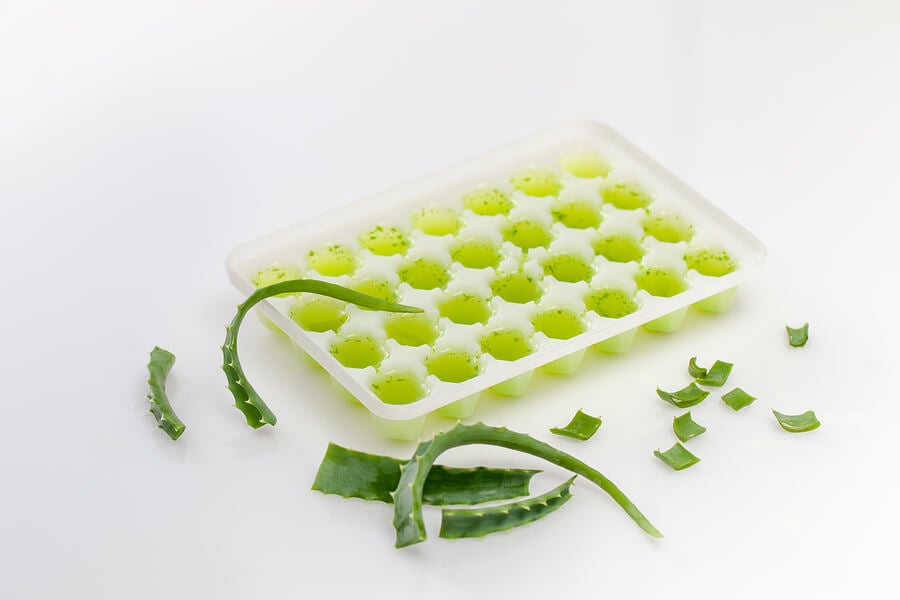 Cuanto tiempo dura el aloe vera en la nevera