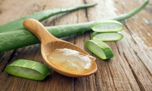 El aloe vera sirve para las hemorroides
