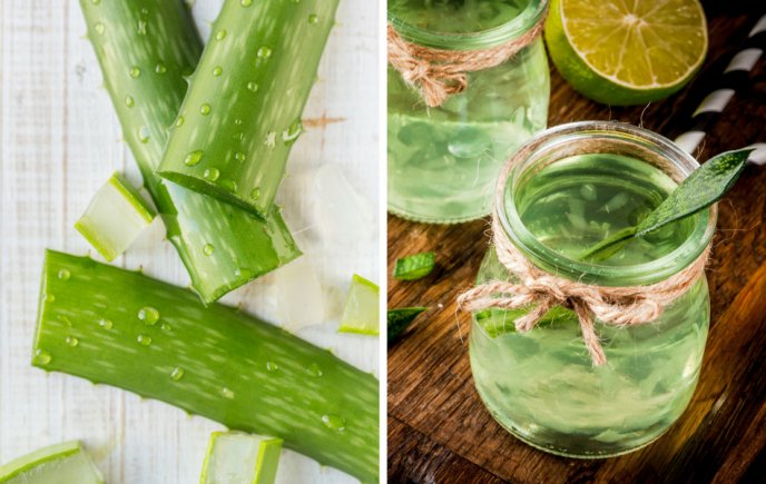 Como preparar aloe vera natural para tomar