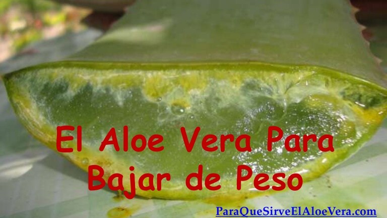 Usos del aloe vera para adelgazar
