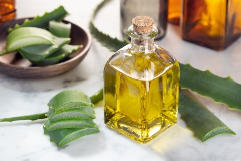 Como hacer aceite de aloe vera