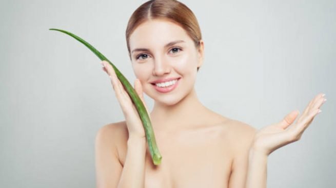 Planta de aloe vera para las manchas dela cara
