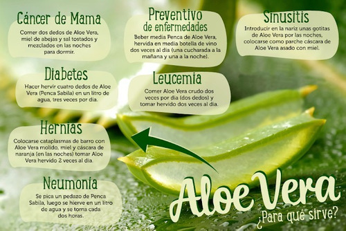 Batido de aloe vera para el cancer