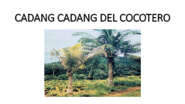 Cadang cadang del cocotero tratamiento