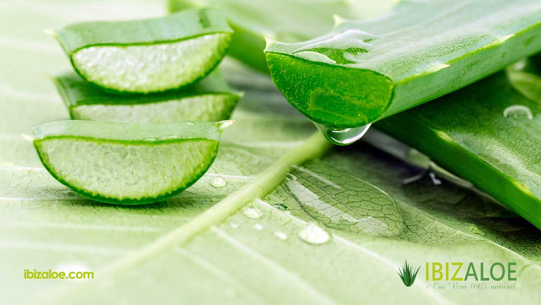 Ventajas del aloe vera en la piel
