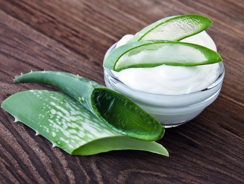 Como usar aloe vera como antiinflamatorio