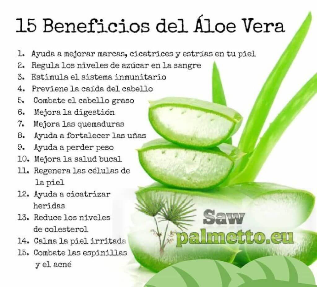 Propiedades de aloe vera natural