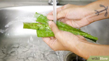 Como preparar aloe vera para consumir
