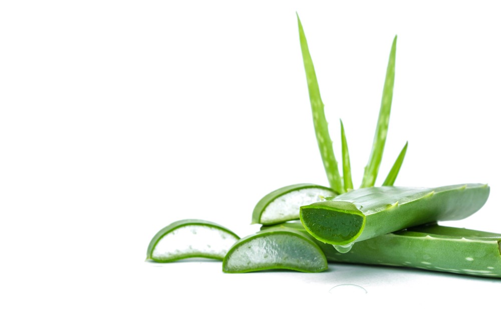 El aloe vera de herbalife sirve para la gastritis