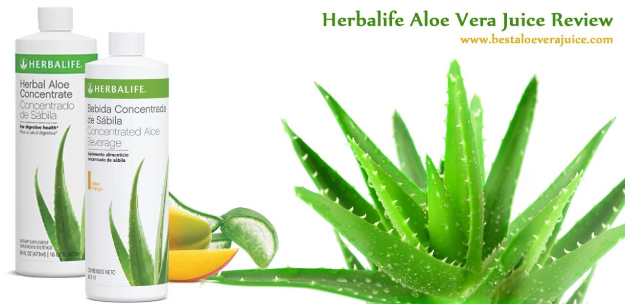 Bebida aloe vera herbalife precio
