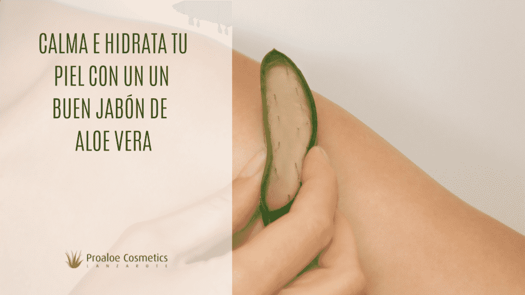Jabon natural de aloe vera propiedades