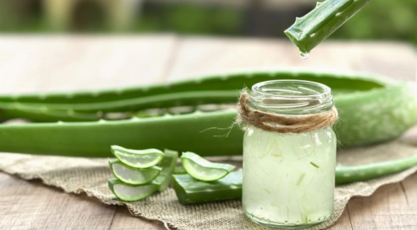 Aloe vera para bajar de peso