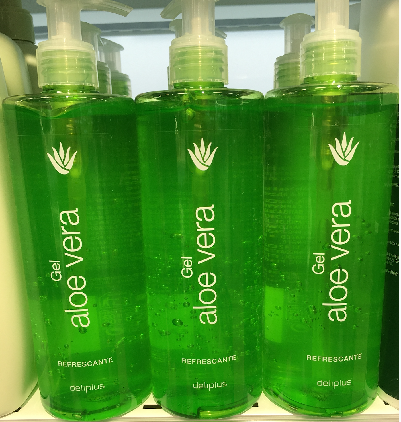 Aloe vera mercadona acuario