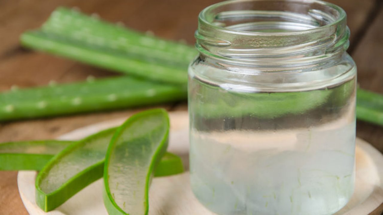 Aloe vera protector estomago