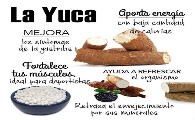 Propiedades de la yuca