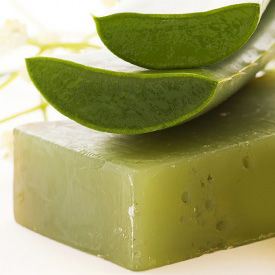 Cosas que se pueden hacer con aloe vera