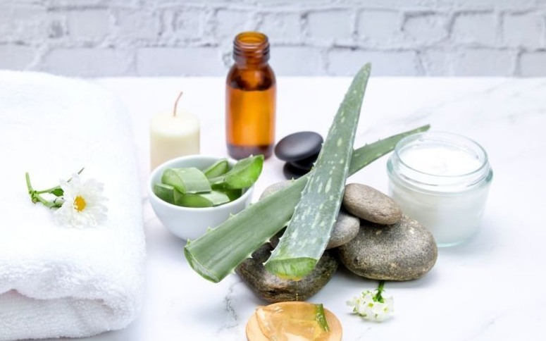 Receta de aceite de aloe vera