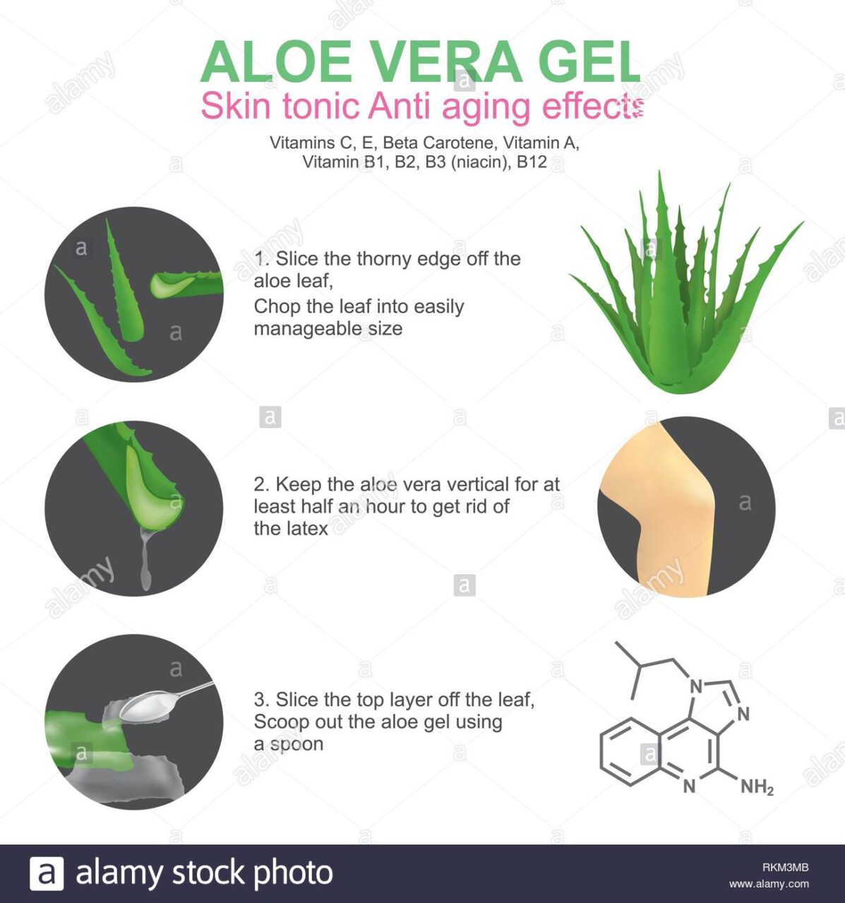 Como se cultiva el aloe vera