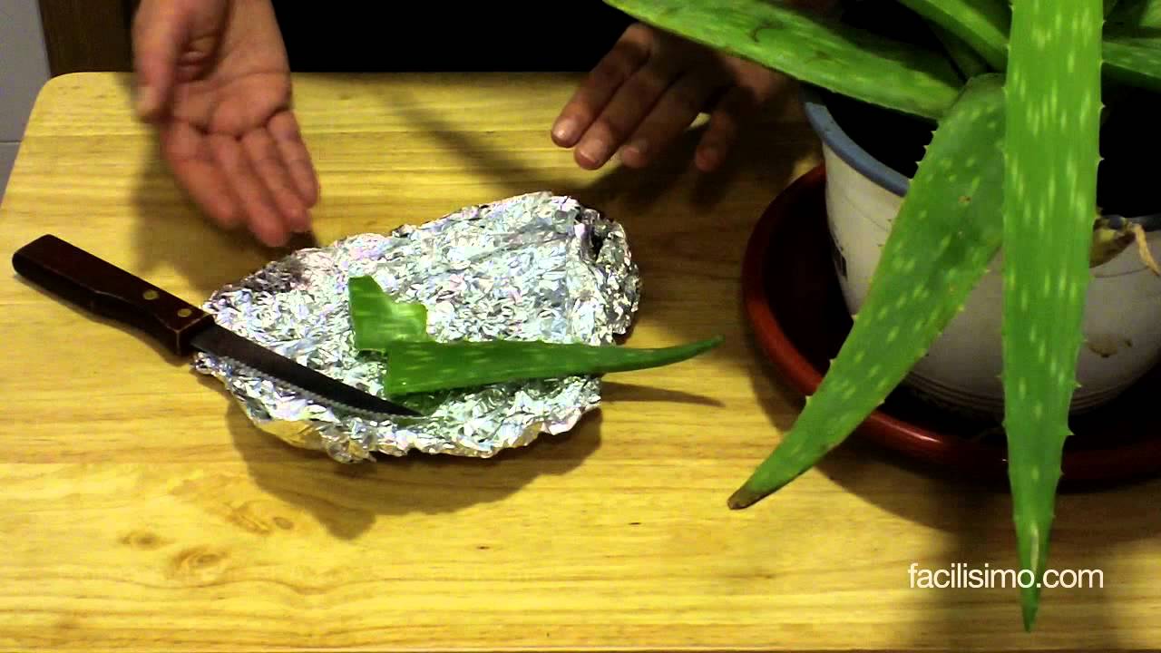 Como utilizar la planta de aloe vera para la cara