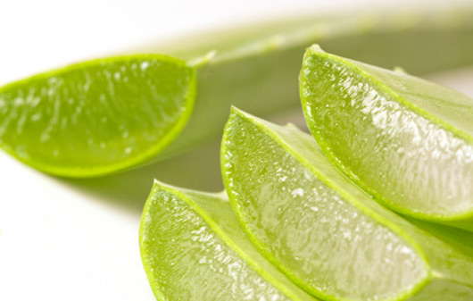 Que hace aloe vera en la piel