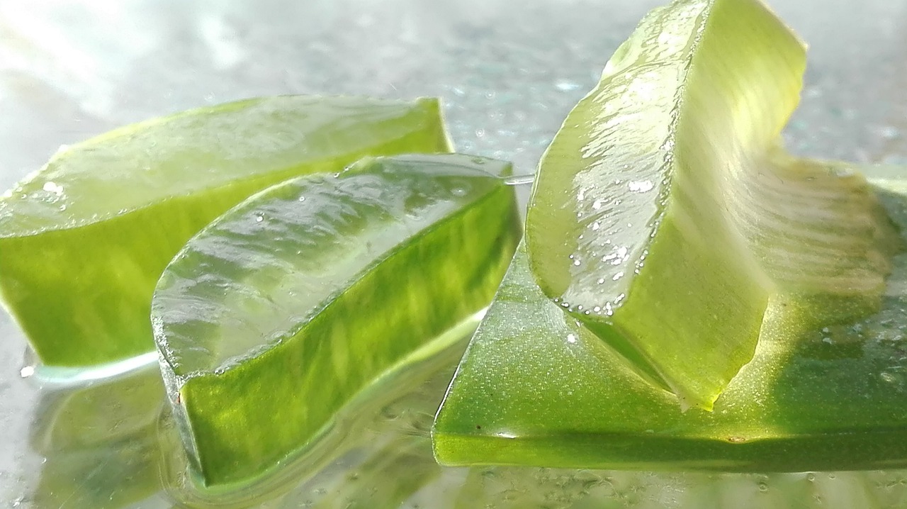 El aloe vera es bueno para los granos