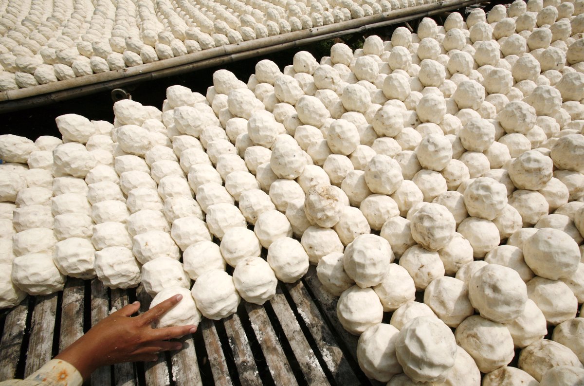 Yuca alimento peligroso