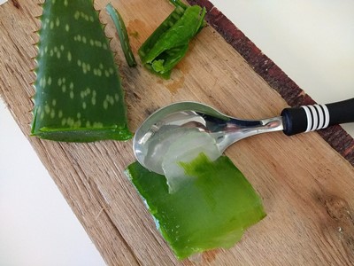 Como conservar el gel de aloe vera casero