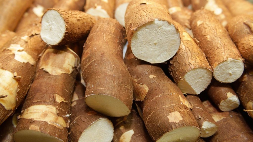 Propiedades de la yuca para la salud