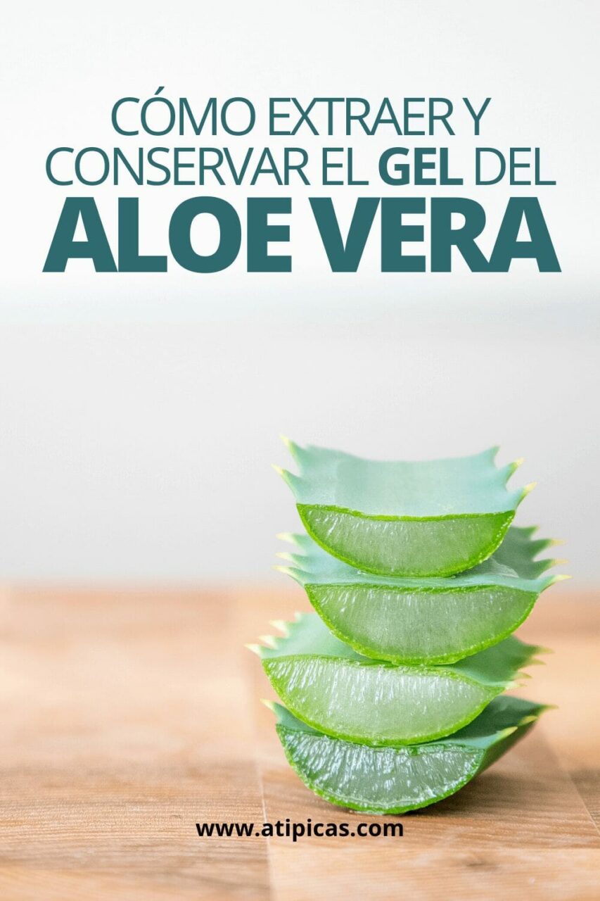Extraer aloe vera de planta