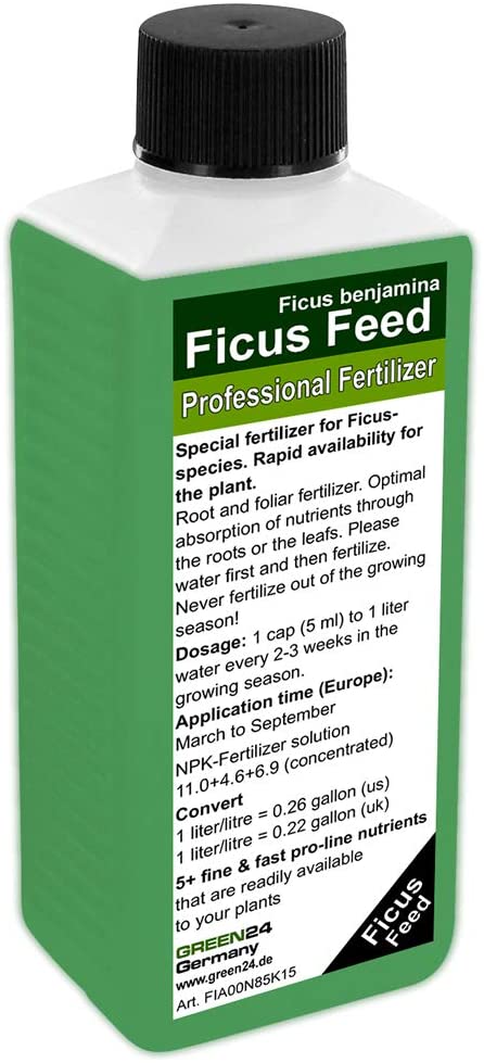 Abono foliar para ficus benjamina