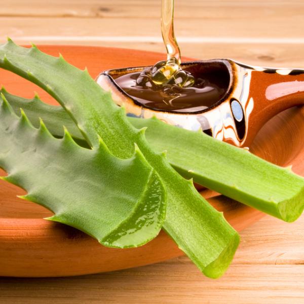 Aloe vera sirve para la gastritis