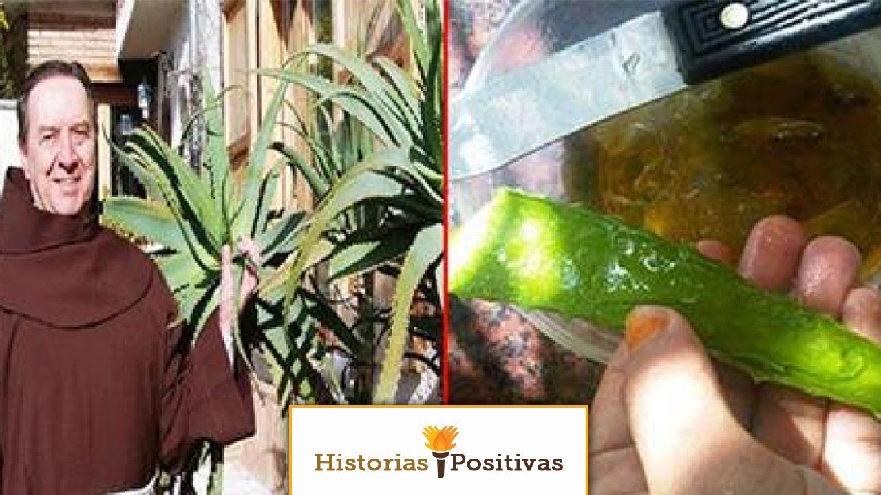 Cura de cancer con aloe vera y miel