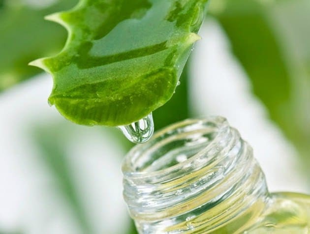 Extracto de aloe vera para tomar