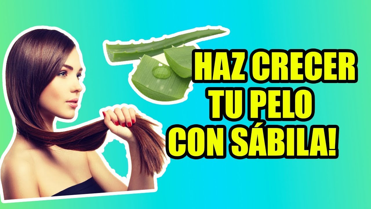 Que hacer con aloe vera para el pelo
