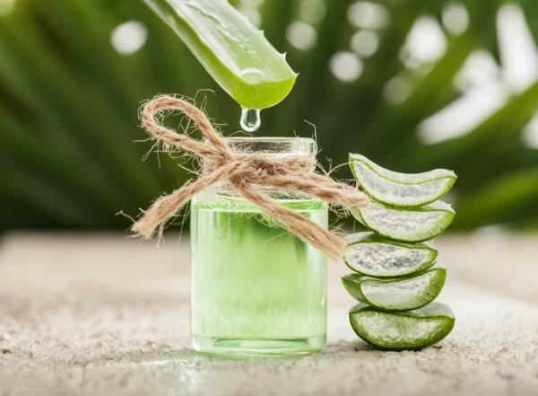 Aloe vera para las picaduras