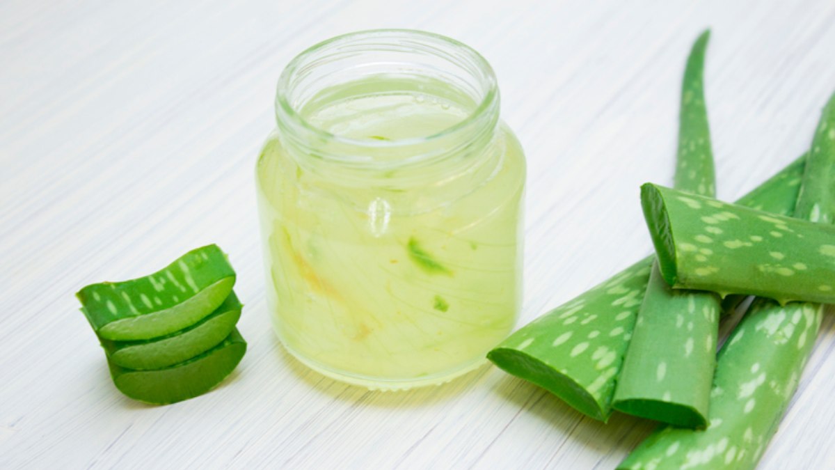 Que hacer con aloe vera natural