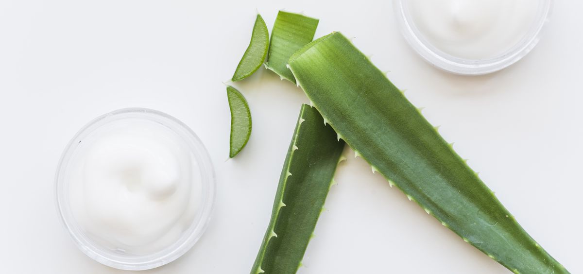 Para que sirve el aloe vera en la cara